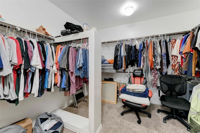 225 Shale Cir, Buda, TX 78610 - walk in closet with carpet flooring