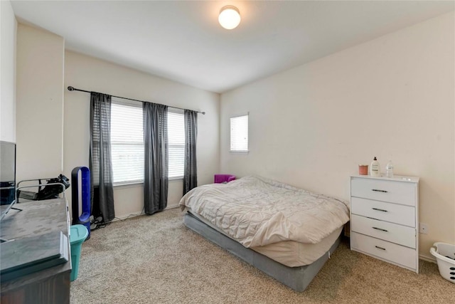 225 Shale Cir, Buda, TX 78610 - view of carpeted bedroom
