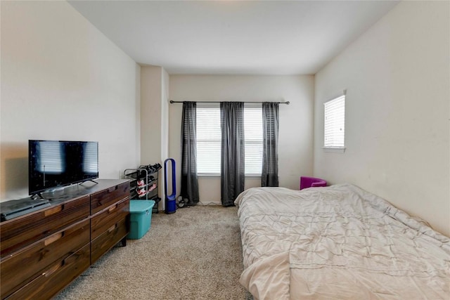 225 Shale Cir, Buda, TX 78610 - bedroom featuring light carpet
