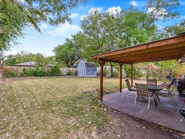 view of yard with a patio and a storage unit