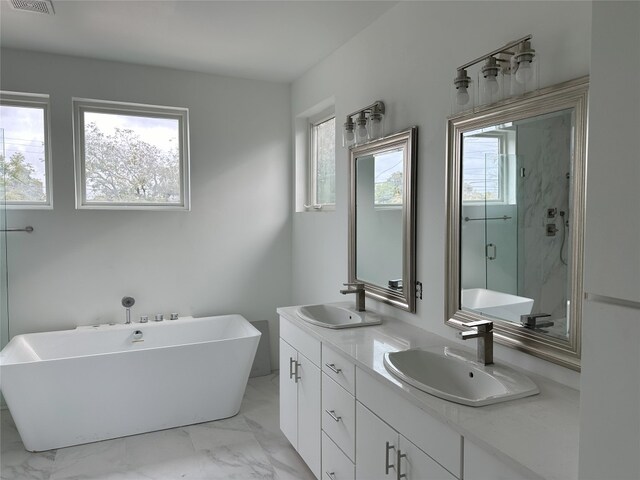 bathroom with vanity, plus walk in shower, and a wealth of natural light