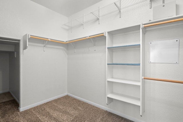 spacious closet featuring carpet flooring