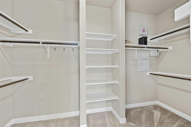 walk in closet featuring light colored carpet