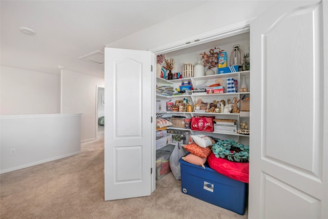 view of closet