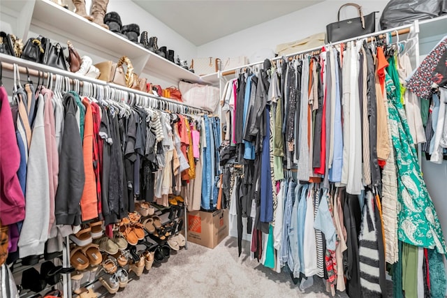 spacious closet with carpet