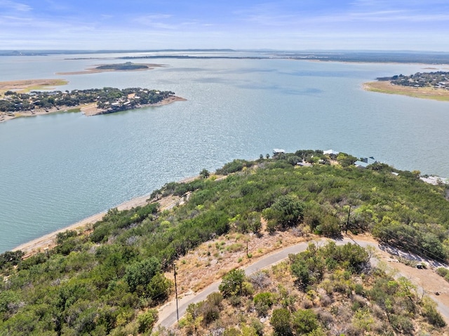 839 Ed Low Dr, Burnet TX, 78611 land for sale