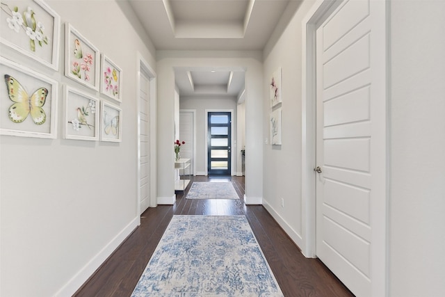 entryway with a tray ceiling and dark hardwood / wood-style flooring