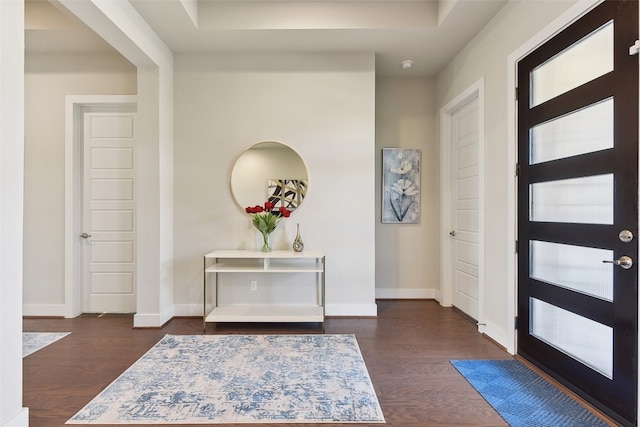 foyer entrance with dark wood-type flooring