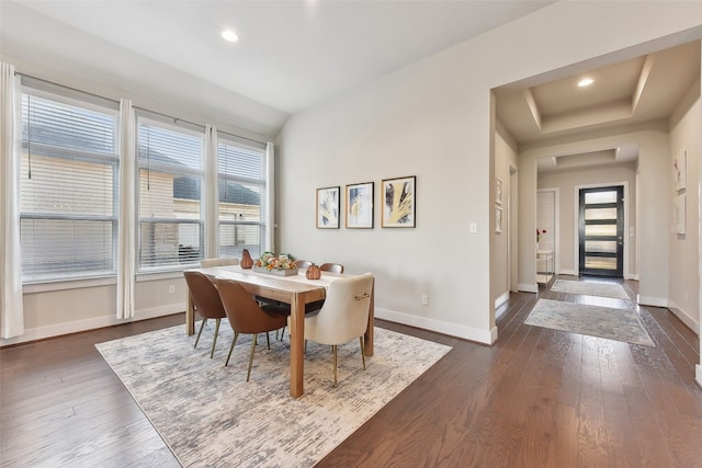 dining room featuring dark wood-type flooring, a healthy amount of sunlight, and a tray ceiling