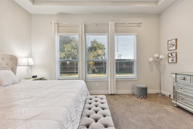 carpeted bedroom with a raised ceiling