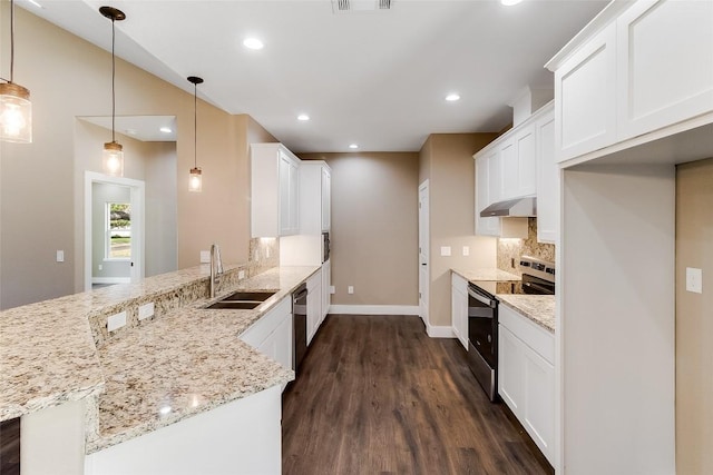 427 E Castleshoals Dr, Granite Shoals, TX 78654 - kitchen with appliances with stainless steel finishes, a sink, a peninsula, under cabinet range hood, and dark wood-style floors