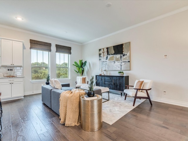 living room featuring crown molding and dark hardwood / wood-style floors