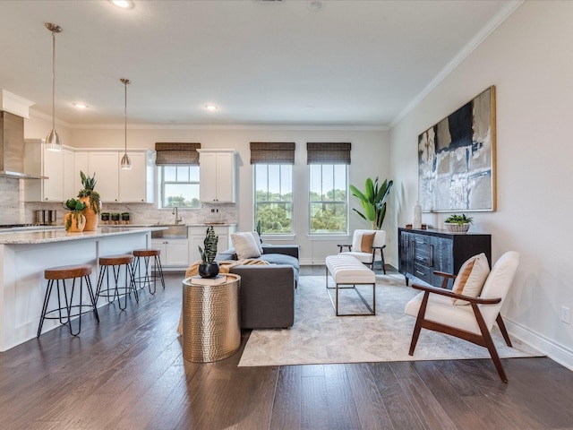 living room featuring hardwood / wood-style flooring, sink, and crown molding