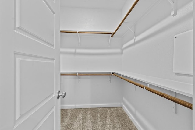 spacious closet with carpet flooring