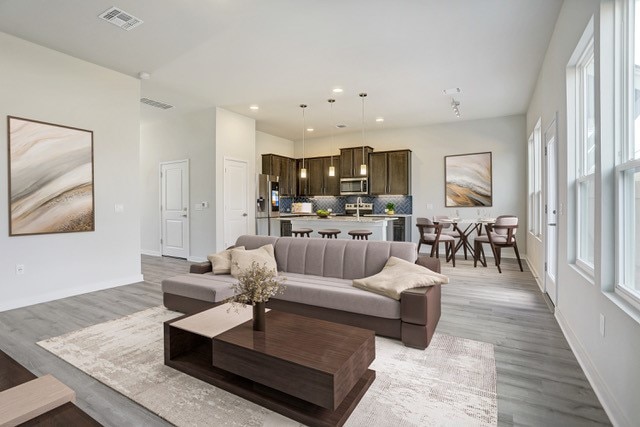 living room featuring light hardwood / wood-style flooring