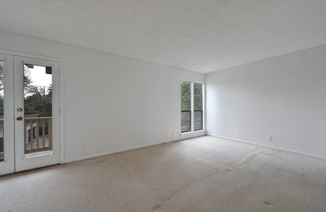 empty room with french doors, light colored carpet, and a healthy amount of sunlight