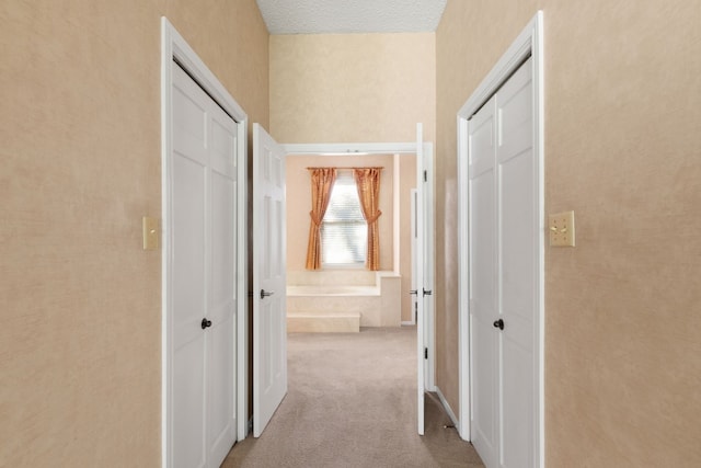 hall featuring light carpet and a textured ceiling