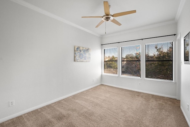 12212 Brigadoon Ln Unit 117, Austin, TX 78727 - photo 15