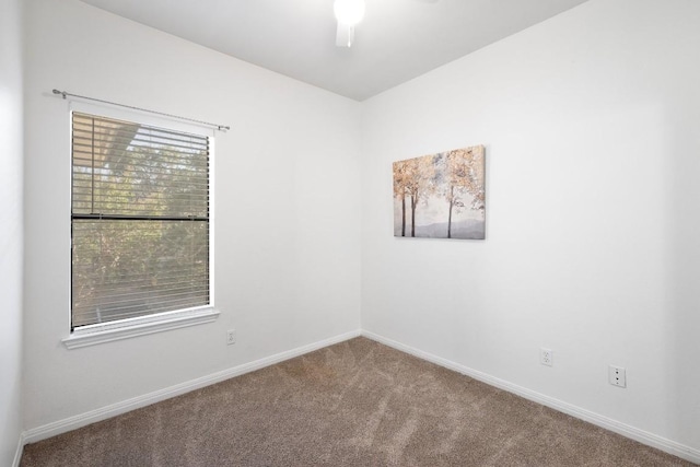 12212 Brigadoon Ln Unit 117, Austin, TX 78727 - photo 20