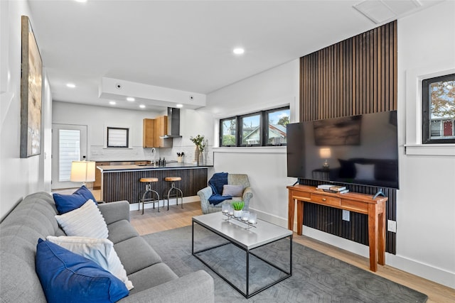 living room featuring light hardwood / wood-style flooring and sink