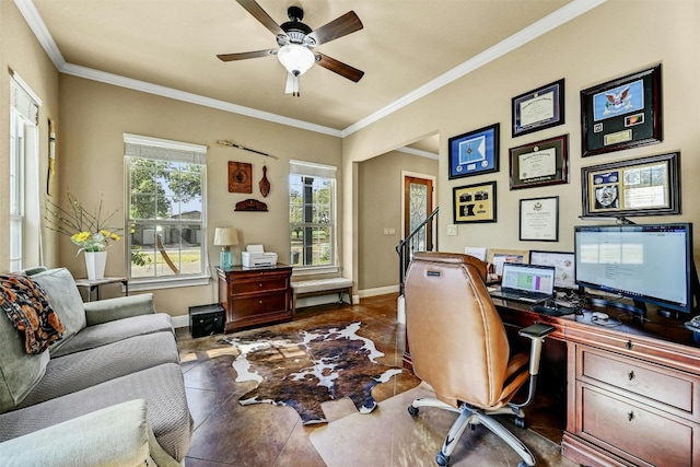 home office with ceiling fan and ornamental molding