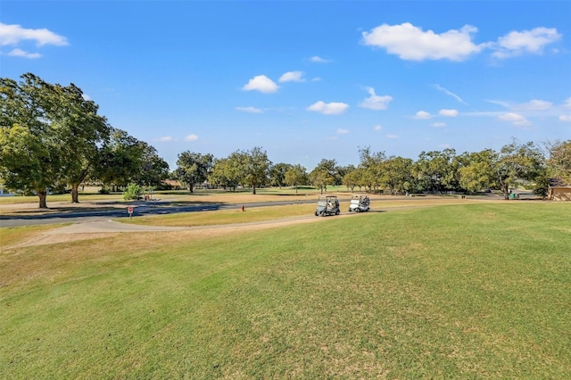 view of home's community featuring a yard