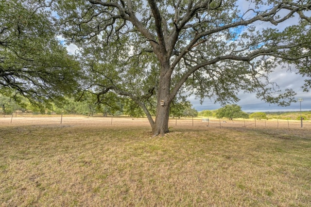 view of yard featuring a rural view