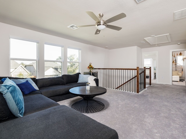 view of carpeted living room