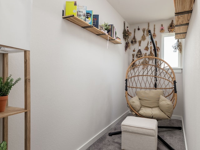 sitting room featuring carpet flooring