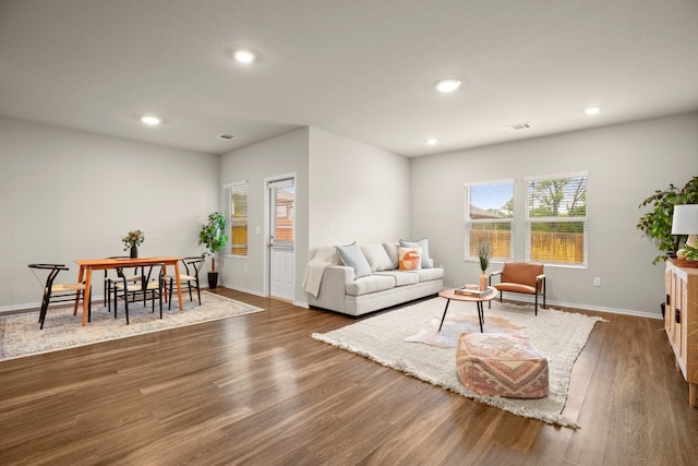 living room with dark hardwood / wood-style flooring