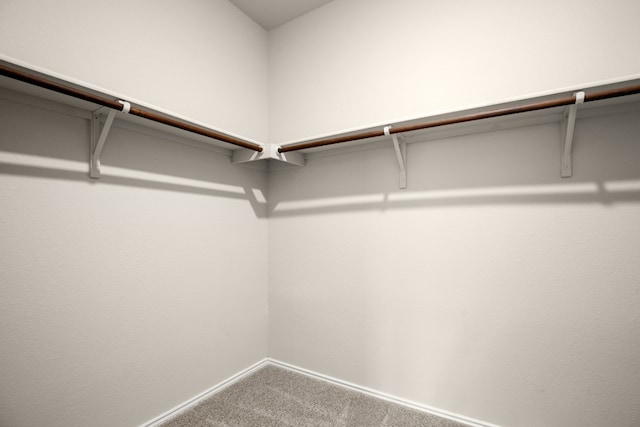 walk in closet featuring carpet floors