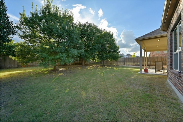 view of yard with a patio area