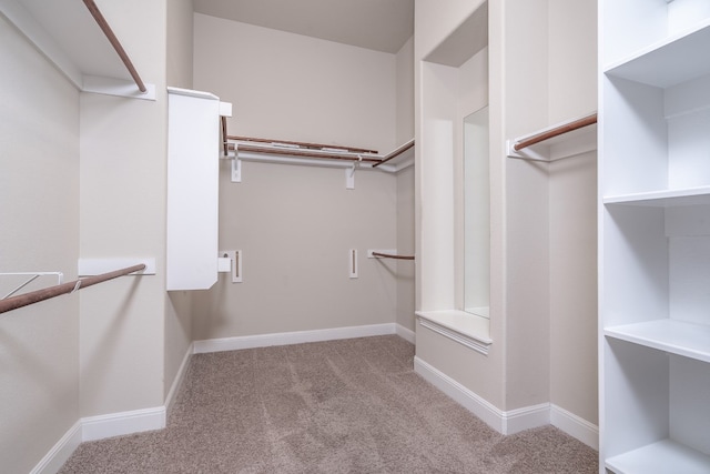 spacious closet with light colored carpet