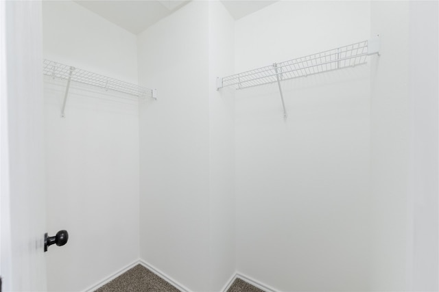 walk in closet with carpet