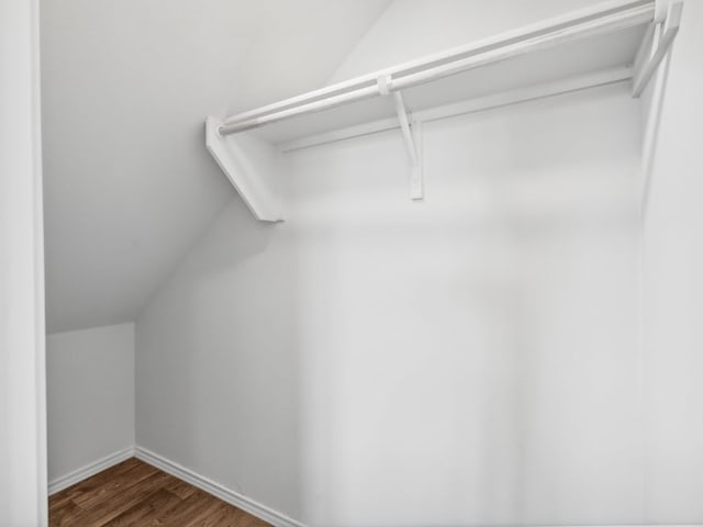 spacious closet featuring dark hardwood / wood-style flooring