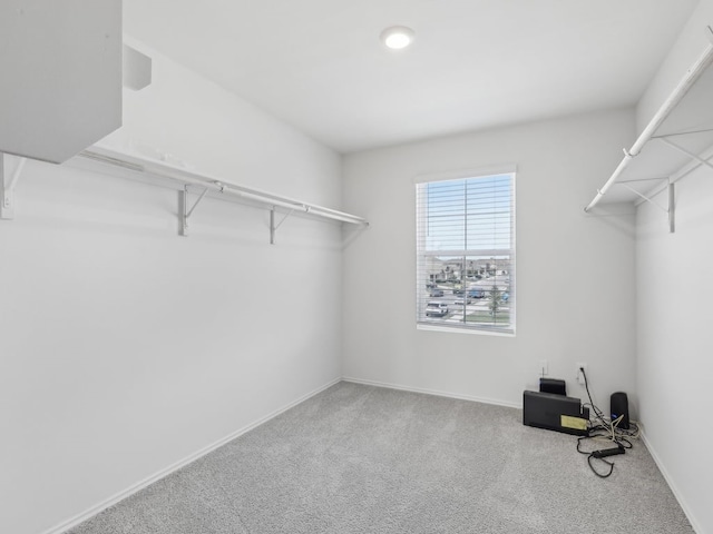 walk in closet with carpet floors