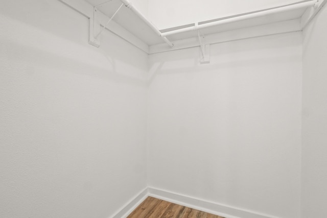 spacious closet featuring hardwood / wood-style floors