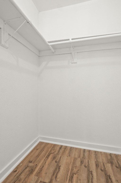 spacious closet featuring hardwood / wood-style flooring