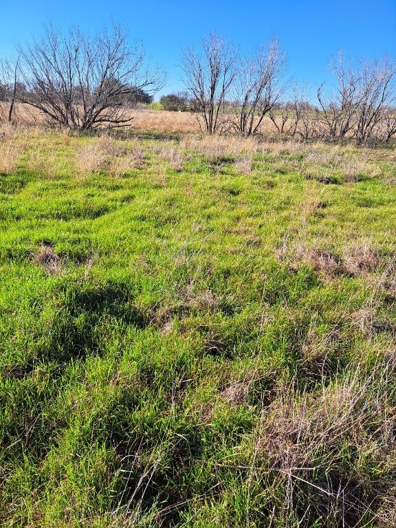 1560 Chalk Rd, Harwood, TX 78632