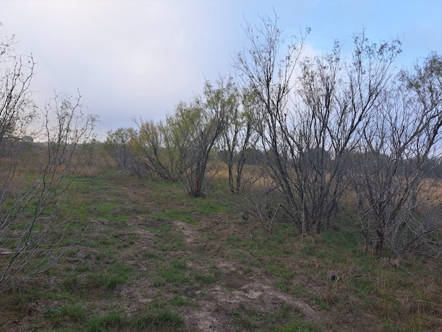 1560 Chalk Rd, Harwood, TX 78632