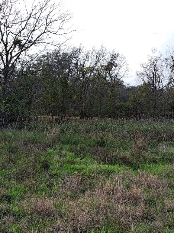 1560 Chalk Rd, Harwood, TX 78632