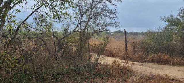 1560 Chalk Rd, Harwood, TX 78632