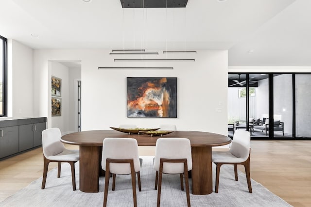 dining room with light hardwood / wood-style flooring