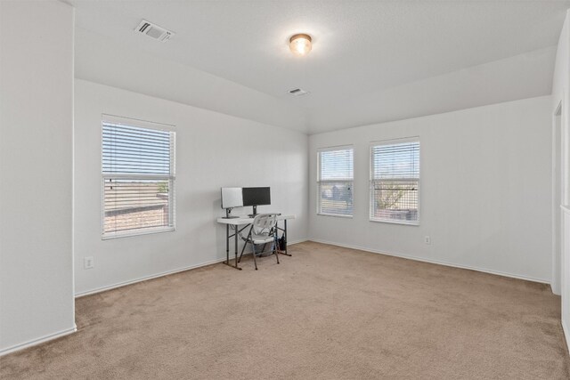 home office with light carpet