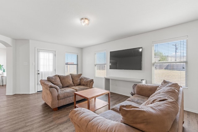 living room with a wealth of natural light and hardwood / wood-style floors