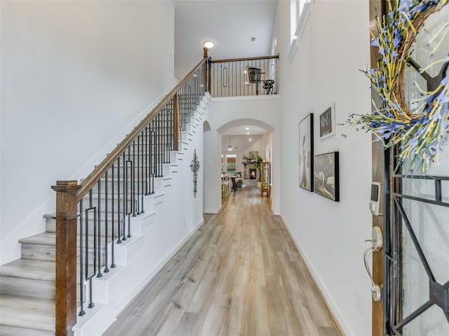 foyer with a high ceiling and light hardwood / wood-style floors