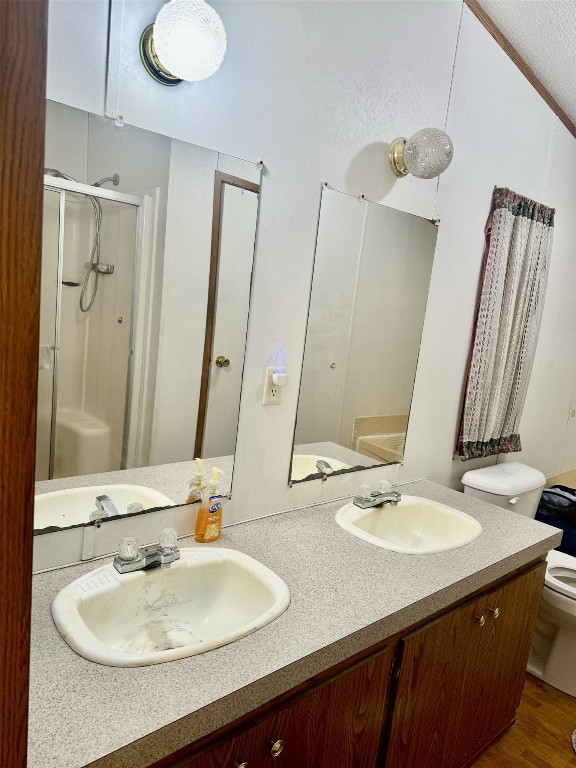 bathroom with vanity, hardwood / wood-style flooring, toilet, and walk in shower