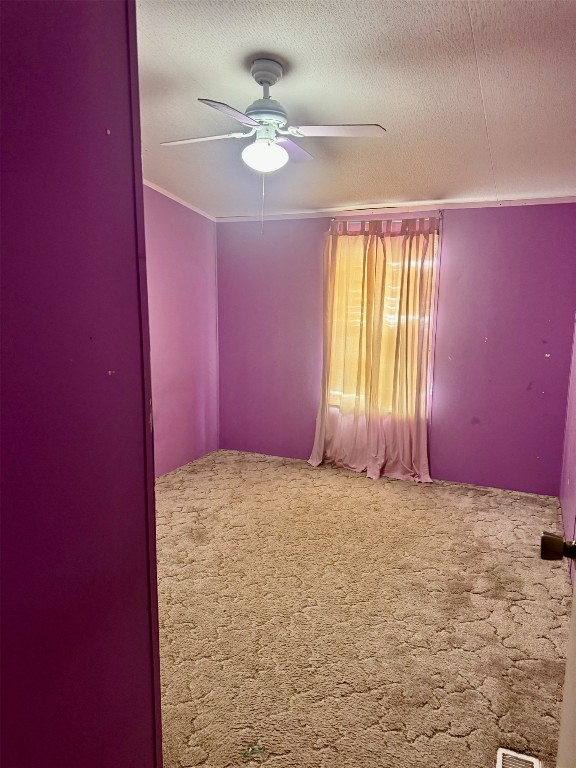 carpeted spare room with a textured ceiling and ceiling fan