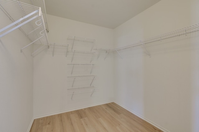 walk in closet featuring hardwood / wood-style floors