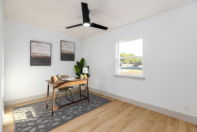 office featuring ceiling fan and wood-type flooring